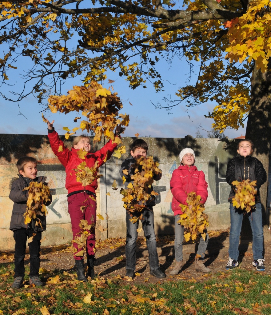 ecole_st-vincent_millery_20131126_19_881x1024_1_.jpg