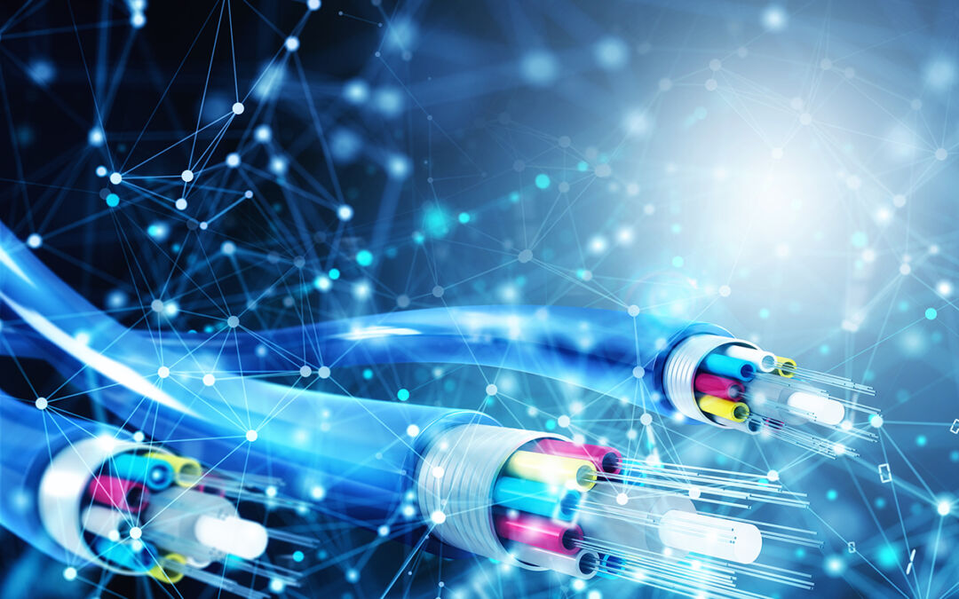 La fibre