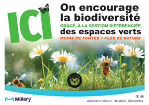 Biodiversité